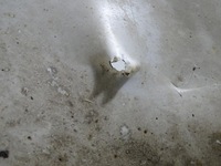 фото thumb №14, Бампер зад задний opel insignia a hb 08-2013 z179