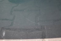 фото thumb №5, Mini clubman ii f54 двері праве правий задня b22