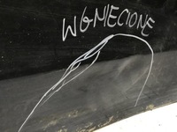 фото thumb №11, Tesla iii 3 двері праве передні перед