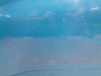 фото thumb №5, Двері передні перед ліва hyundai kona 2017-