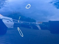 фото thumb №7, Дверь volkswagen amarok ii 2023 2024 2025 зад правое задние правые