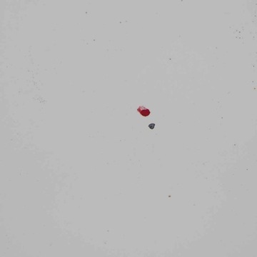 фото thumb №16, Ford transit connect капот двигуна заморожений білий z2