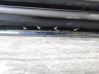 фото thumb №16, Дверь mercedes glc w254 x254 254 передние правое poznań giełda