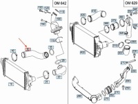 фото thumb №1, Шланг радиатора воздуха наддувочный mb gl x164, правый, a1645282582