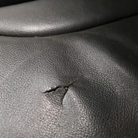 фото thumb №9, Сиденья правые левый диван зад кожа audi q3 8u