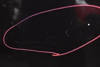 фото thumb №6, Капот кришка двигуна 717-46 volvo v40 2 ii 16-20