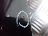 фото thumb №10, Капот audi a4 b8 avant 2008r 3.0 tdi eu l8l8 lz9y 10361