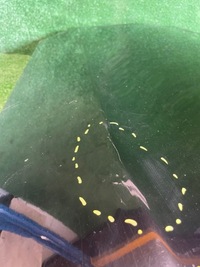 фото thumb №8, Mercedes a klasa w176 дверь левая передние перед