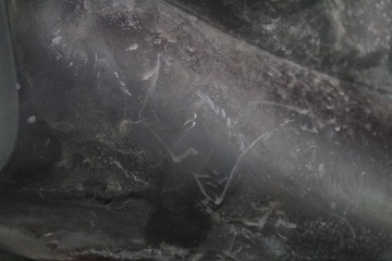 фото thumb №11, Корпус фільтра повітря 9177266 opel vectra c 2.2 dti 125 km 02-05