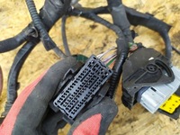 фото thumb №6, Джгут двигуна renault megane iii 1.5 dci 09-