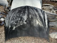 фото thumb №9, Капот opel insignia z20r