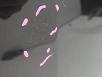 Капот кришка двигуна bmw x3 f25 668/9 Ціна, фото thumb