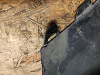 фото thumb №9, Бампер перед mercedes w206 c-klasa a2068808501