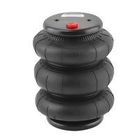 фото thumb №10, 2x сумка na підвіска пневматичний з potrójnym чохол 2600lbs