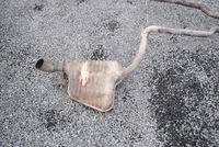 фото thumb №10, Глушители выхлоп audi a6 c6 3.0 tdi quattro avant