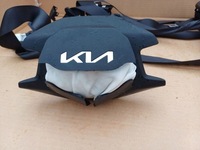 фото thumb №8, Подушки безпеки повітряні air bag ремені панель приладів панель приладів kia ev6 22r