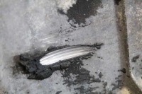 Коробка передач передач 20ce45 peugeot 206 1.4 8v 75 km 98-12 с Разборки, фото thumb