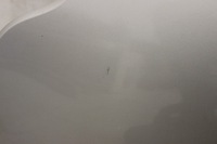 фото thumb №8, Капот кришка двигуна smart fortwo for two ii 2 2007r-