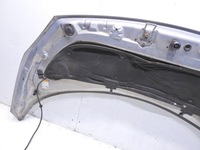 фото thumb №9, Капот tea19 renault scenic ii