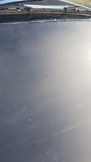 фото thumb №13, Кришка багажника z1eq kia picanto ii