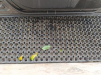 фото thumb №9, Mercedes cls w219 дверь перед левый c197