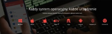 Надстройка AnyDesk для расширенной версии (собственное пространство имен) 2 года