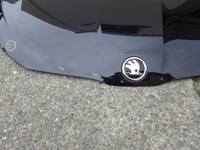 фото thumb №9, Skoda octavia iv 4 5e3 20- капот