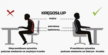 Krzesło fotel obrotowy do biurka Norm JS06 Rozm.5