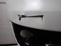 фото thumb №13, Бампер перед renault grand scenic iii 11r 1.6 dci белый аксессуары 8121