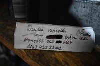 фото thumb №3, Идеальная рамка прокладка дверь задняя левая mercedes gle w167 1