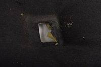 фото thumb №8, Ford s-max mk1 шумоизоляция подкладка капота