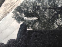 фото thumb №4, Audi a4 b9 рестайлінг капот кришка двигуна шумоізоляція 2019-