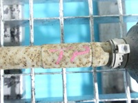 фото thumb №5, Приводной вал правая задняя fiat panda iii 11- 1.3 jtd механическая коробка передач