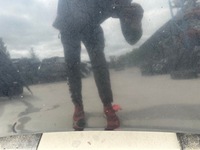 фото thumb №9, Капот кришка двигуна audi a8 d3 przed fl lubelskie