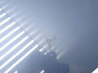 Капот кришка двигуна audi a6 c6 4f рестайлінг  lx5y Недорого, фото thumb