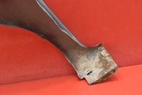 фото thumb №12, Крило праві перед переднє чорний mazda 3 2 ii bl 5d hb 09-13