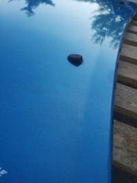 фото thumb №12, Капот крышка двигателя peugeot 207 06-12