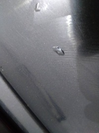 фото thumb №9, Крышка багажника задняя стекло fiat doblo ii 2009-