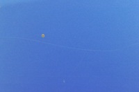 фото thumb №8, Renault scenic iii xmod двері лівий задня задні terpb