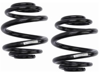 фото thumb №1, Пружини задня sachs 996 965