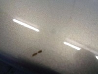 фото thumb №12, Hyundai ix35 10 спойлер крышки багажника задняя a3