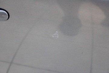 фото thumb №10, Skoda octavia ii рестайлінг 08r- двері праві передні правий перед 9154