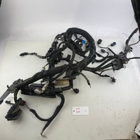 фото thumb №1, Жгут электрический двигателя ford focus 1.6 ecoboost