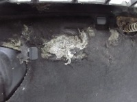 Volvo xc90 02-14 капот кришка двигуна решітка радіатора решітка  487 Зі Шроту, фото thumb