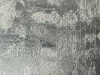 фото thumb №6, Защита плита pod двигатель vw skoda audi seat 3q0 перед a3 s3 карбон