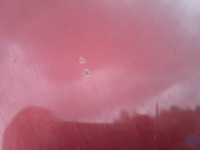 фото thumb №9, Skoda octavia ii 2004- капот кришка двигуна решітка радіатора перед передня