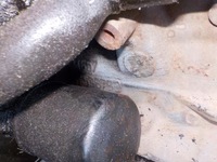 фото thumb №12, Двигатель fiat punto 1.2 16v