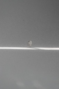 фото thumb №10, Bmw x3 g01 x3m f97 дверь передние задние левая левый перед зад цвет c4p