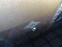 фото thumb №8, Audi q3 8u 11-18 капот кришка двигуна oem оригінал 8u0823155a колір ly9b