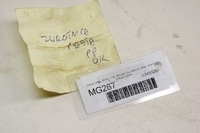 фото thumb №6, Mg267 dacia lodgy 1.5d поворотный кулак правый перед